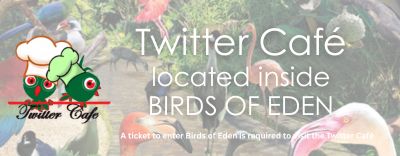 The Twitter Café inside Birds of Eden