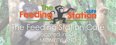 The Feeding Station Café at Monkeyland